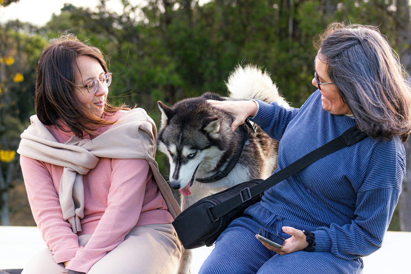 Two women petting a husky together outdoors
