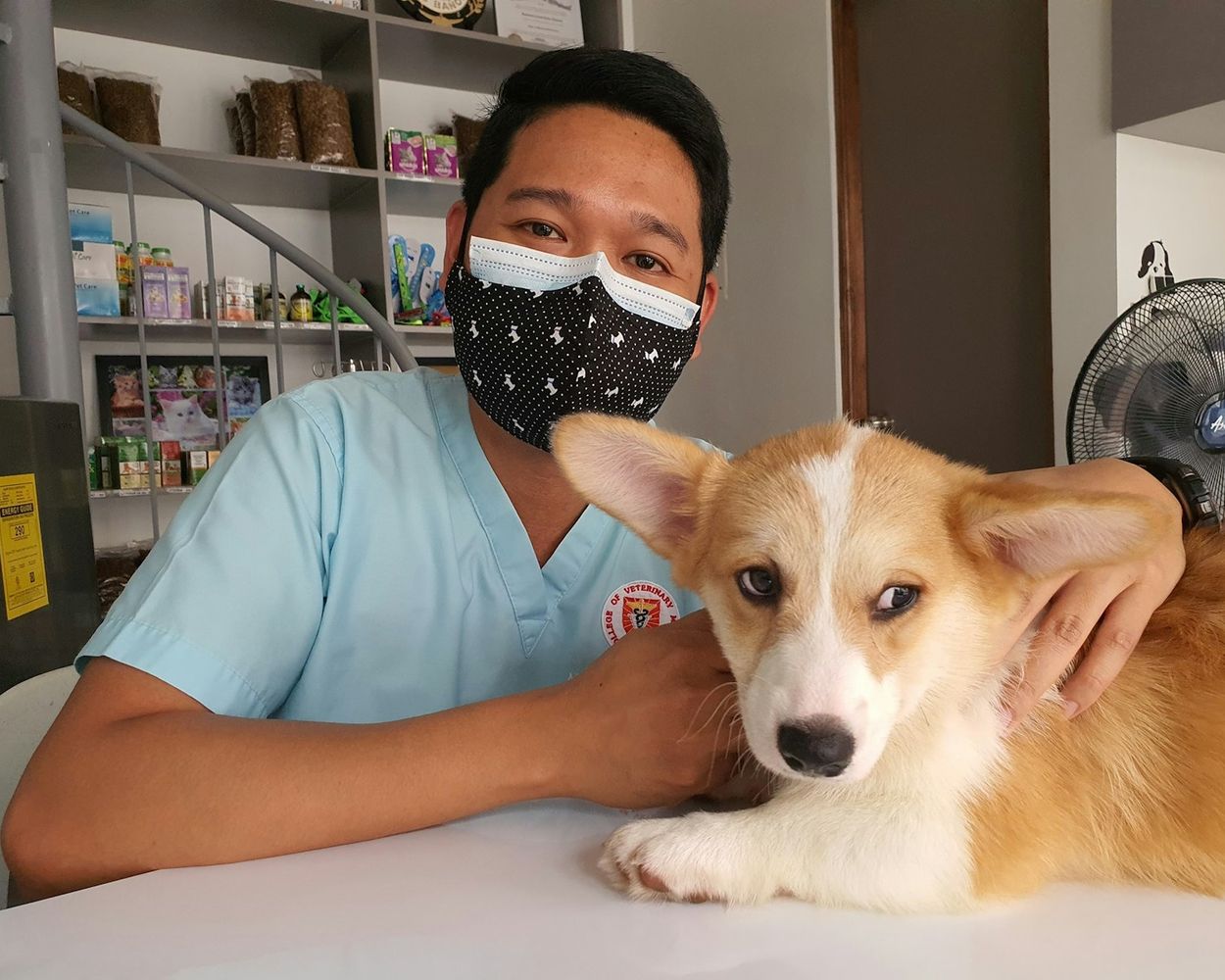 A veterinary team member in scrubs and a mask resting a hand on a corgi at a clinic table