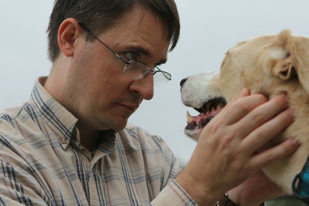 A man with glasses gently holding a dog's face as he looks at it closely