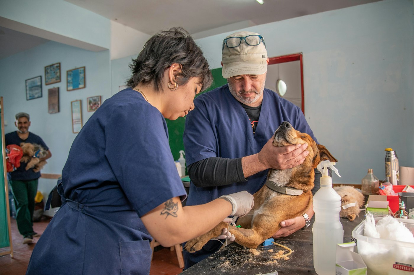 Two clinicians in scrubs examining a dog together on an exam table